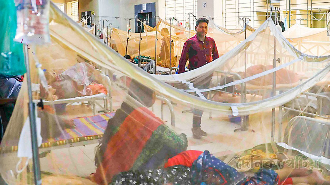ডেঙ্গুতে ৬ জনের মৃত্যু, নতুন ভর্তি ১৫৬১