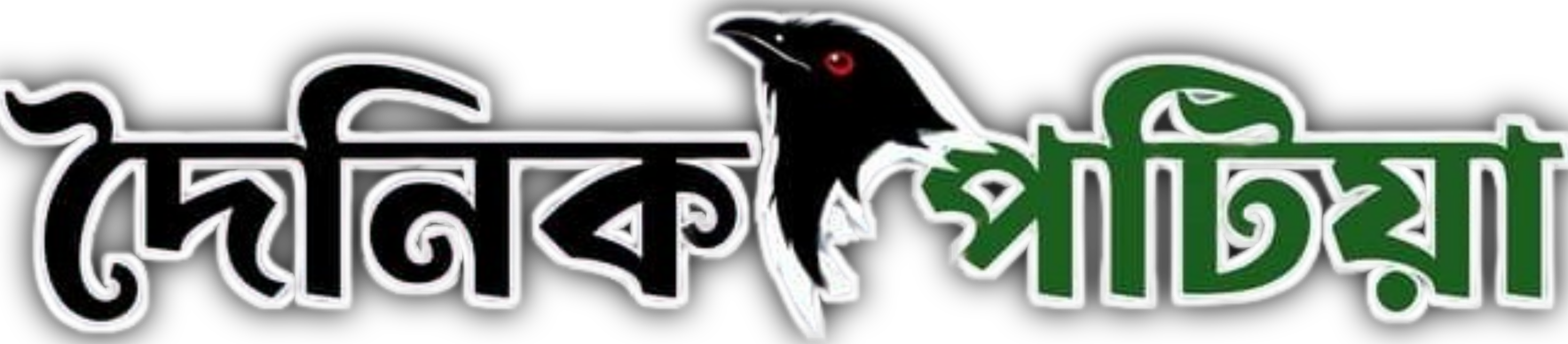 দৈনিক পটিয়া